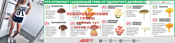 прущие грибы Белокуриха