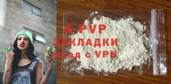прущие грибы Белокуриха