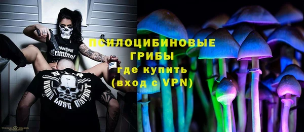 прущие грибы Белокуриха