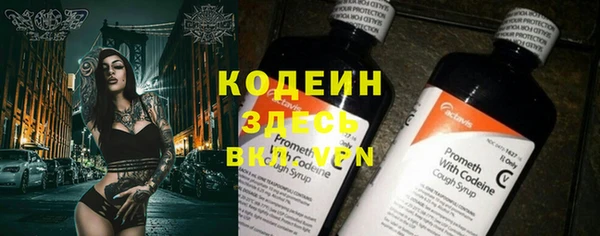 спайс Богданович