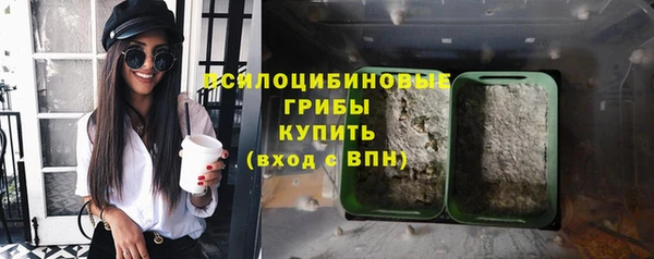 гидропоника Белоозёрский