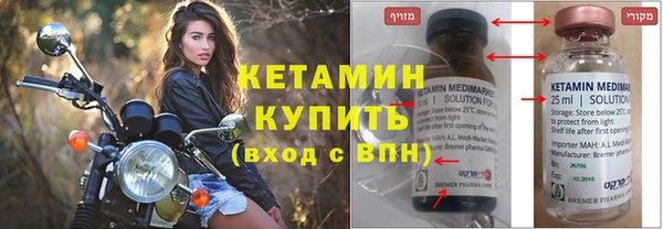прущие грибы Белокуриха